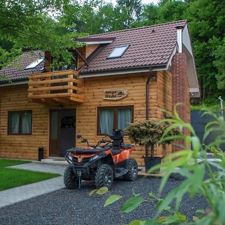 פורומבקו דה סוס Bear'S Lair Chalet מראה חיצוני תמונה