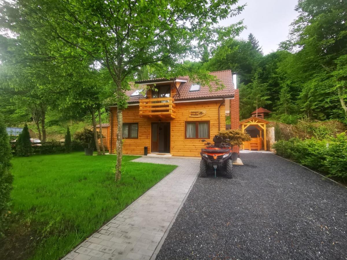 פורומבקו דה סוס Bear'S Lair Chalet מראה חיצוני תמונה