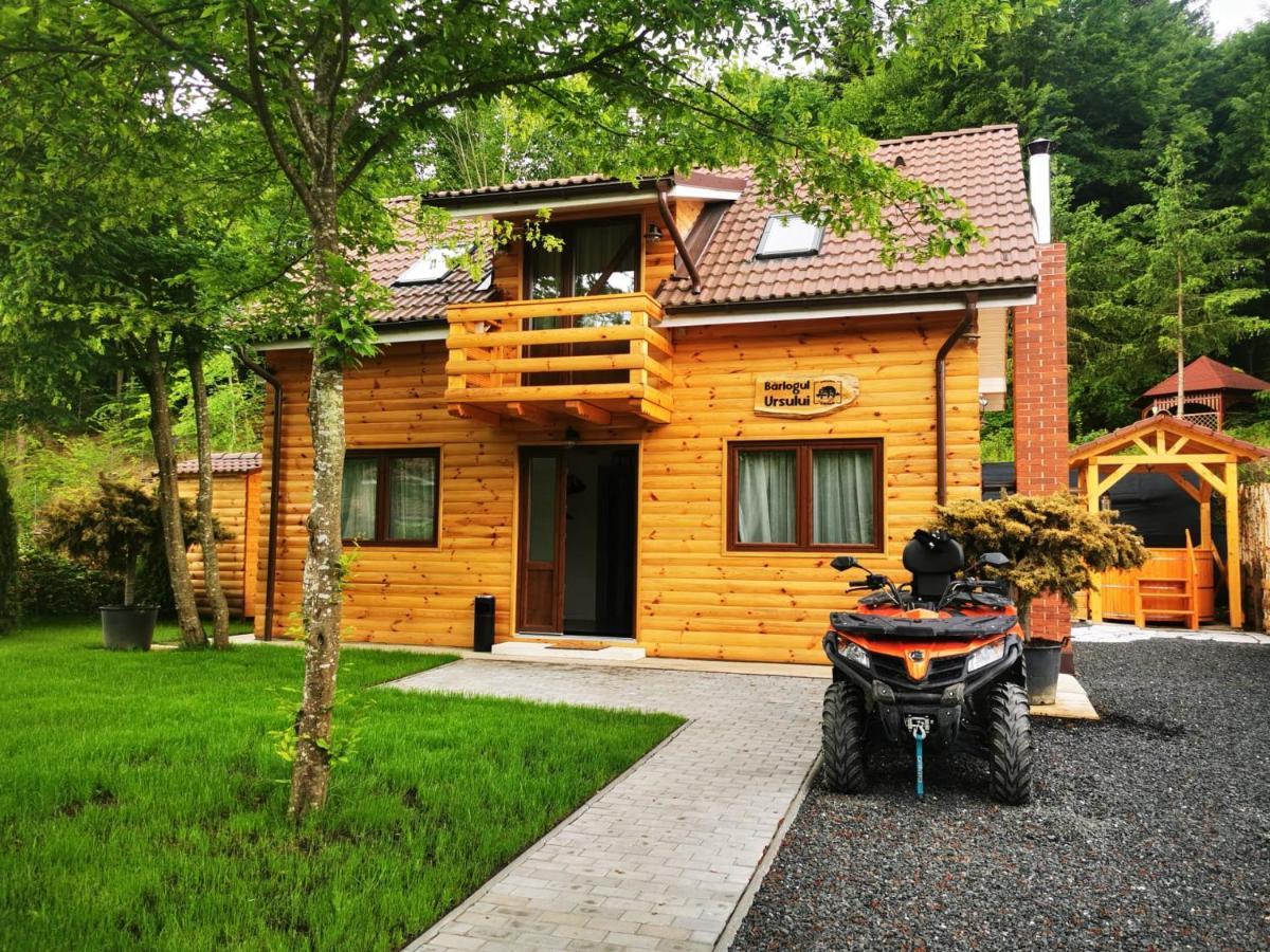 פורומבקו דה סוס Bear'S Lair Chalet מראה חיצוני תמונה
